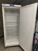 Liebherr Umluftkühlschrank Profiline GKv 663 Liter