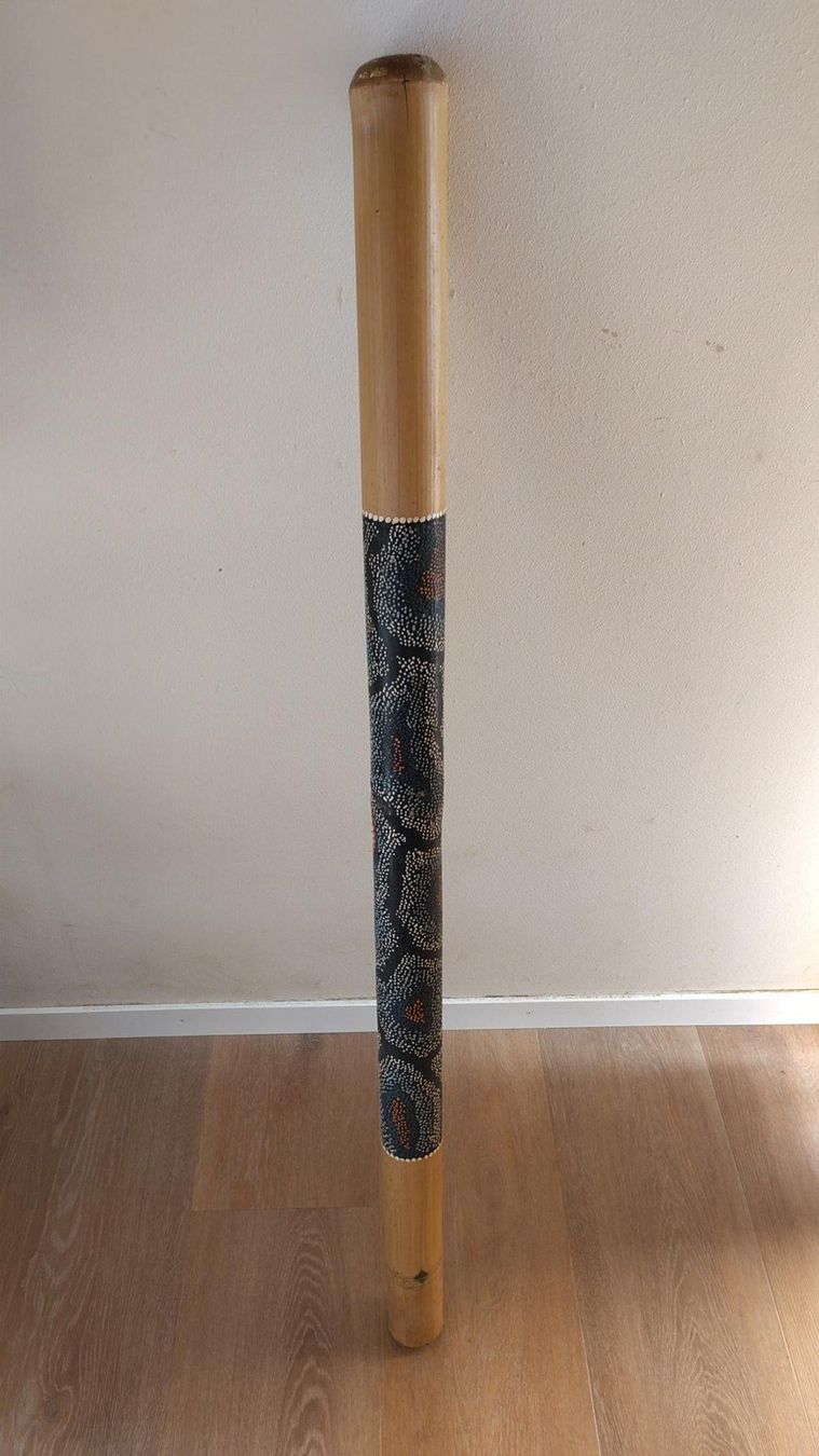 Instruments de musique: Didgeridoo – D'occasion à Teufenthal AG par nik_z9fn