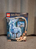 Lego 76414 Harry Potter Expecto Patronum Neu