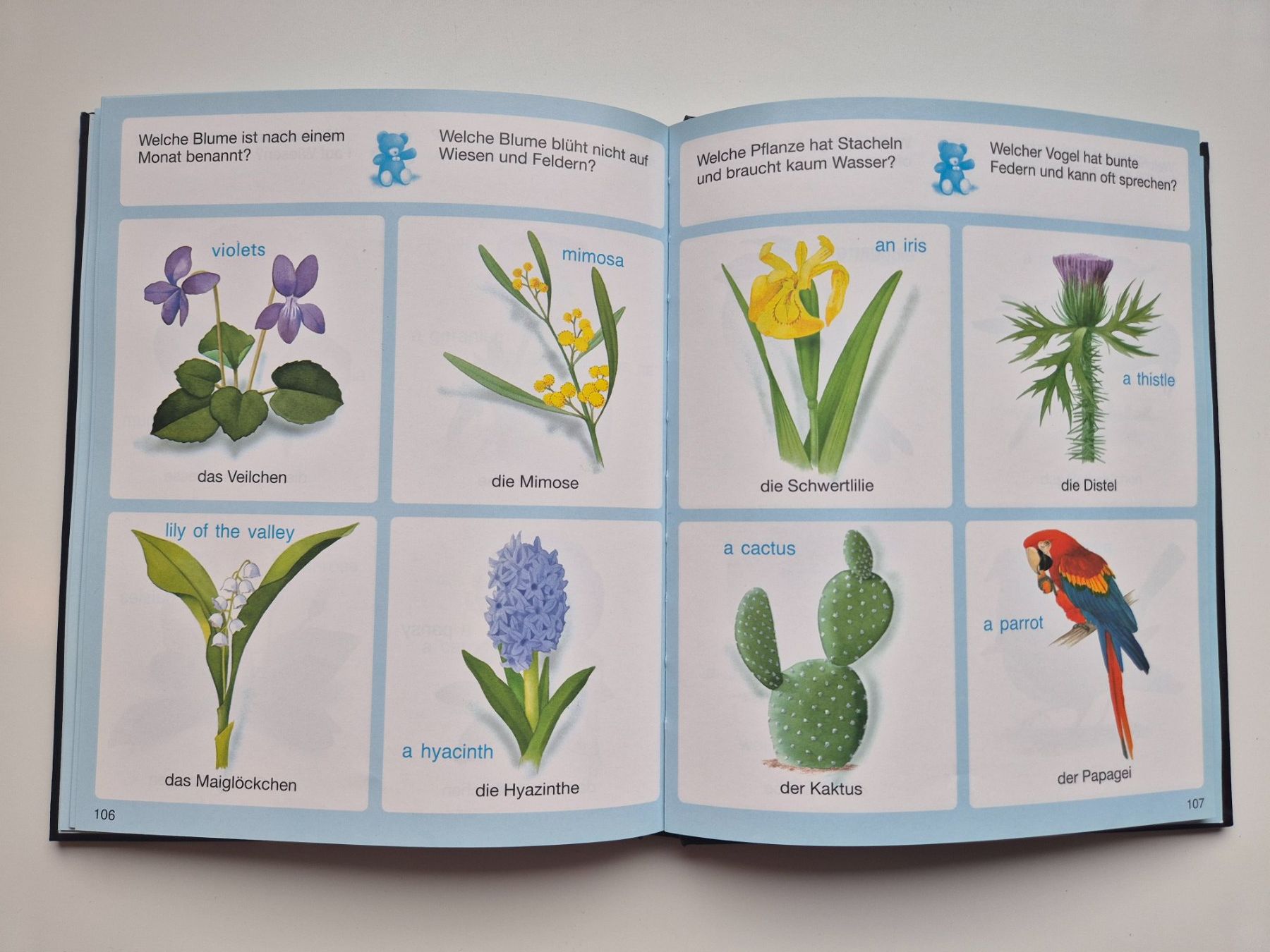 Bücher: Dein buntes Wörterbuch  🌻  DEUTSCH - ENGLISCH     fleurus – Gebraucht aus Niederweningen von Obson 3