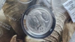 Big Five Elephant 2021 1 oz Silber .999 South Africa