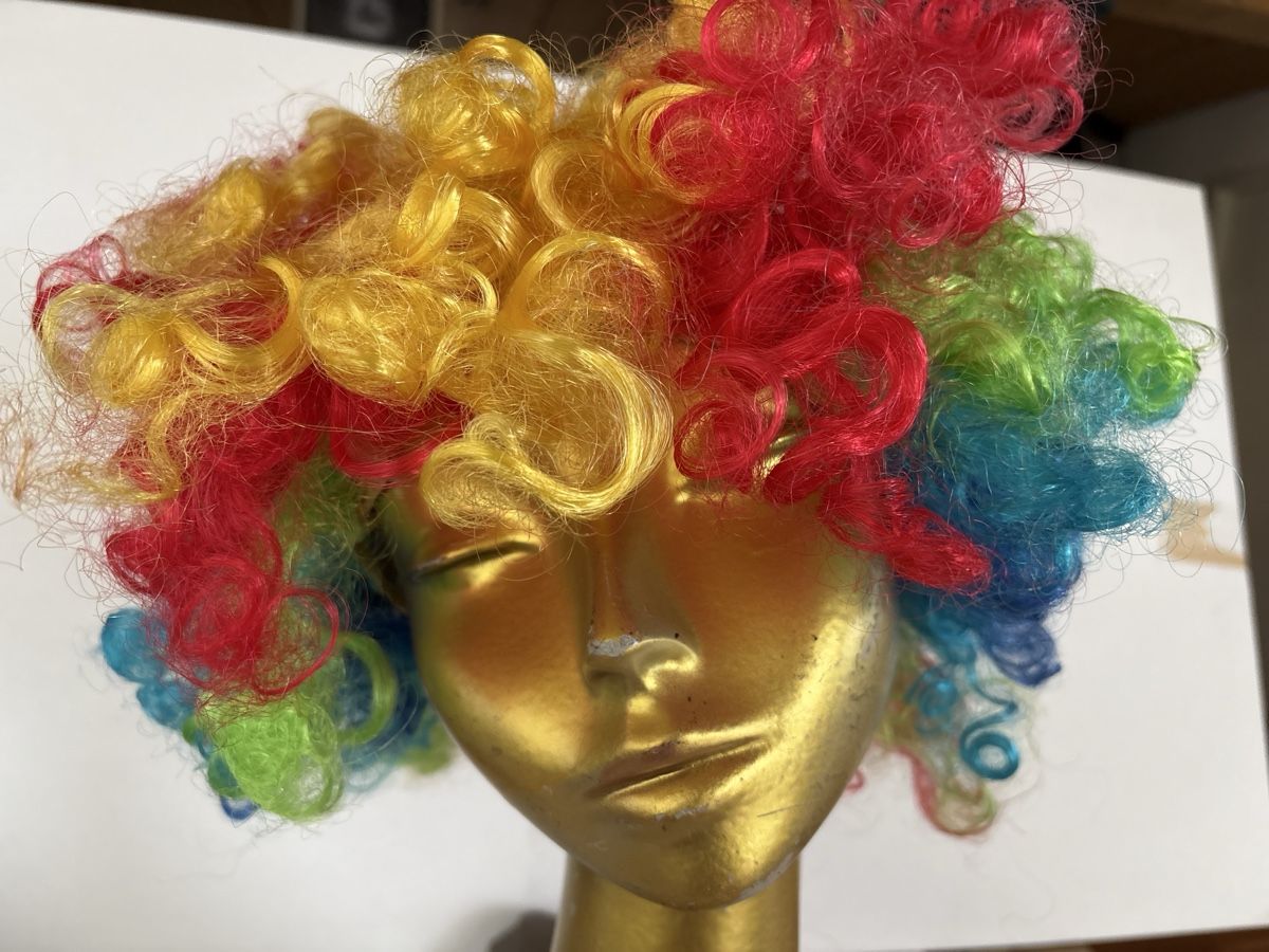 Parrucche: Clown Perücke bunt – Nuovo (secondo la descrizione) da Rümlang venduto da SchumBru10