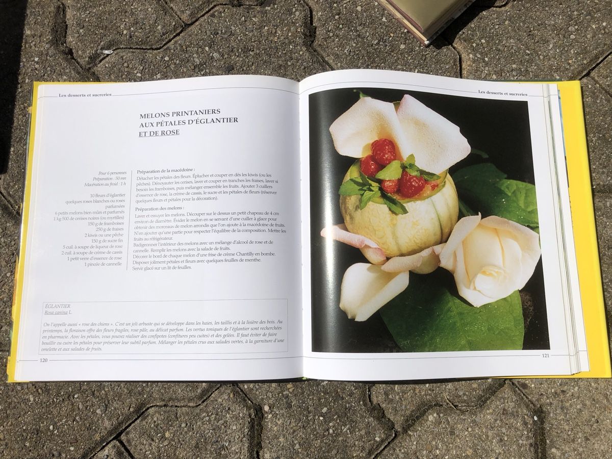Libri: Divers livres de Cuisine – Usato da Sierre venduto da Erjou 6