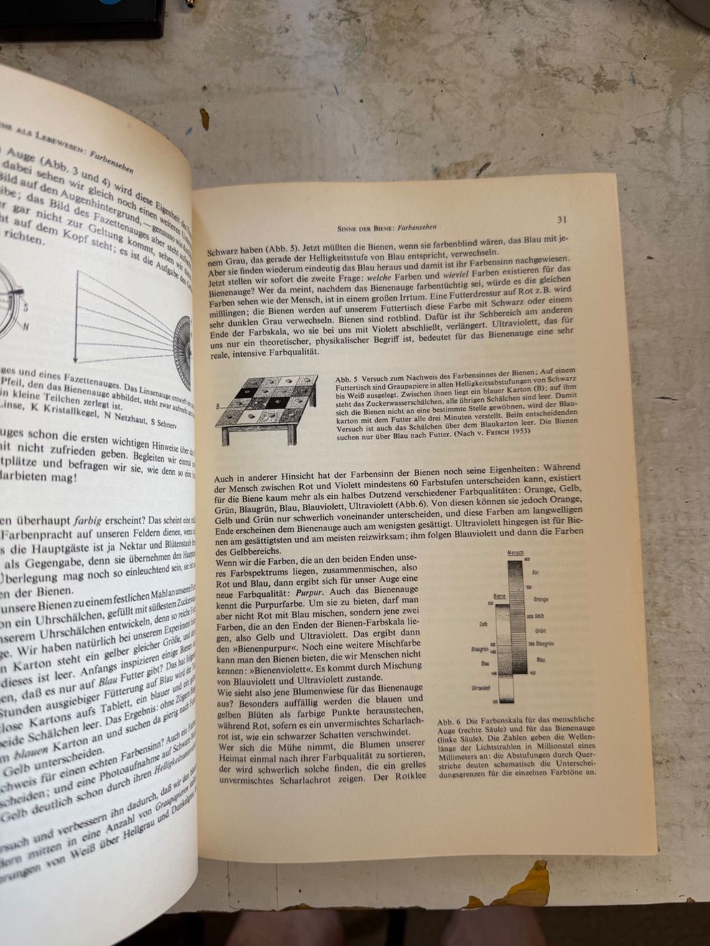 Libri: Biene und Bienenzucht – Usato da Dietikon venduto da Buchantiqdietikon 2