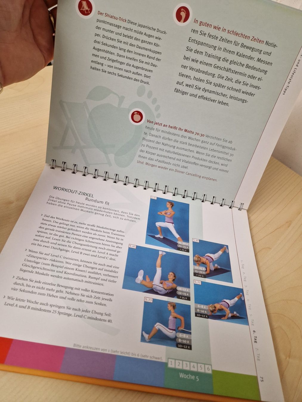 Libri: BUCH Der BBP-Trainer – Usato da Mezzovico venduto da maemy 1