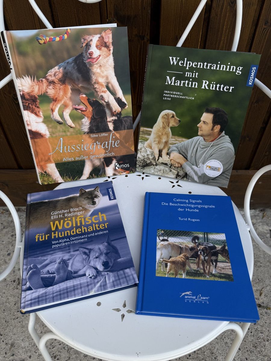Livres: Verschiedene Hundebücher – D'occasion à Rorbas par Zunnii