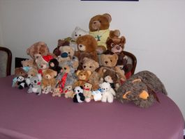 Teddybären