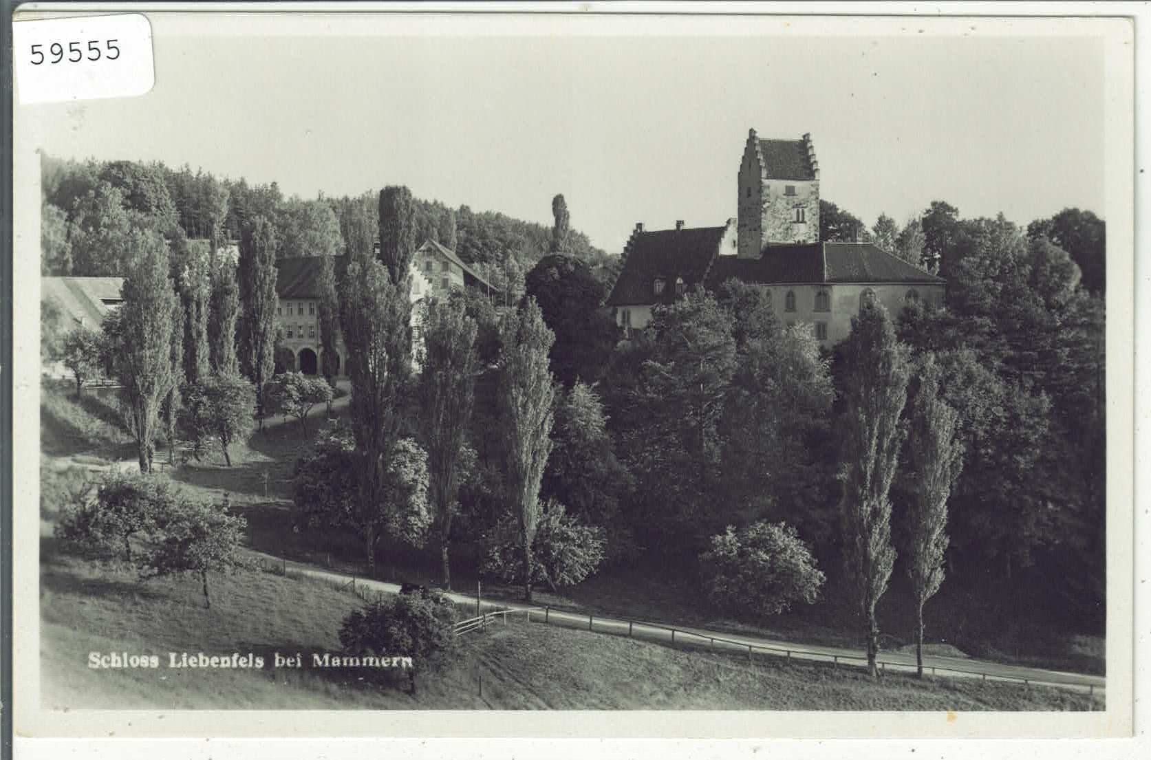Cartoline postali: Schloss Liebefels bei Mammern – Difettoso da Ettingen venduto da Kartenplanet