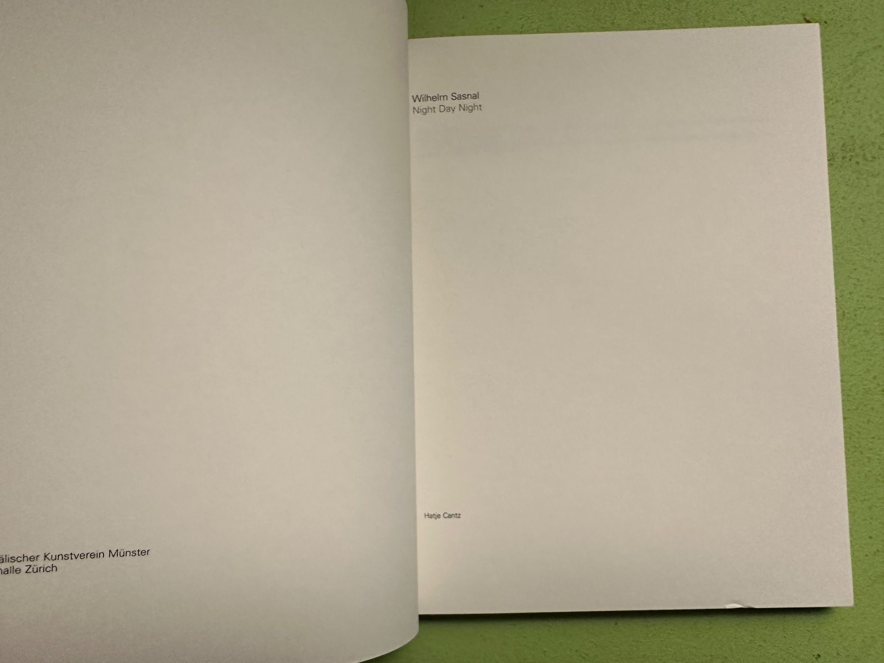 Libri: Wilhelm Sasnal: Night Day Night. – Usato da Zürich venduto da allp 1