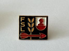 1 Pin FSL Liestal