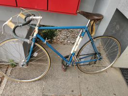 Mondia Rennvelo 