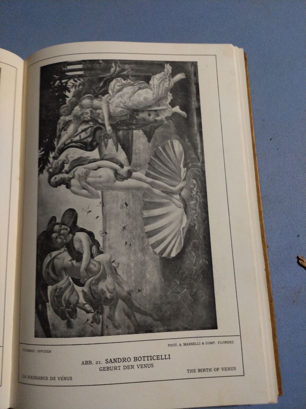 Libri: Früh-Renaissance der ital. Malerei – Usato da Brugg AG venduto da matejR 2