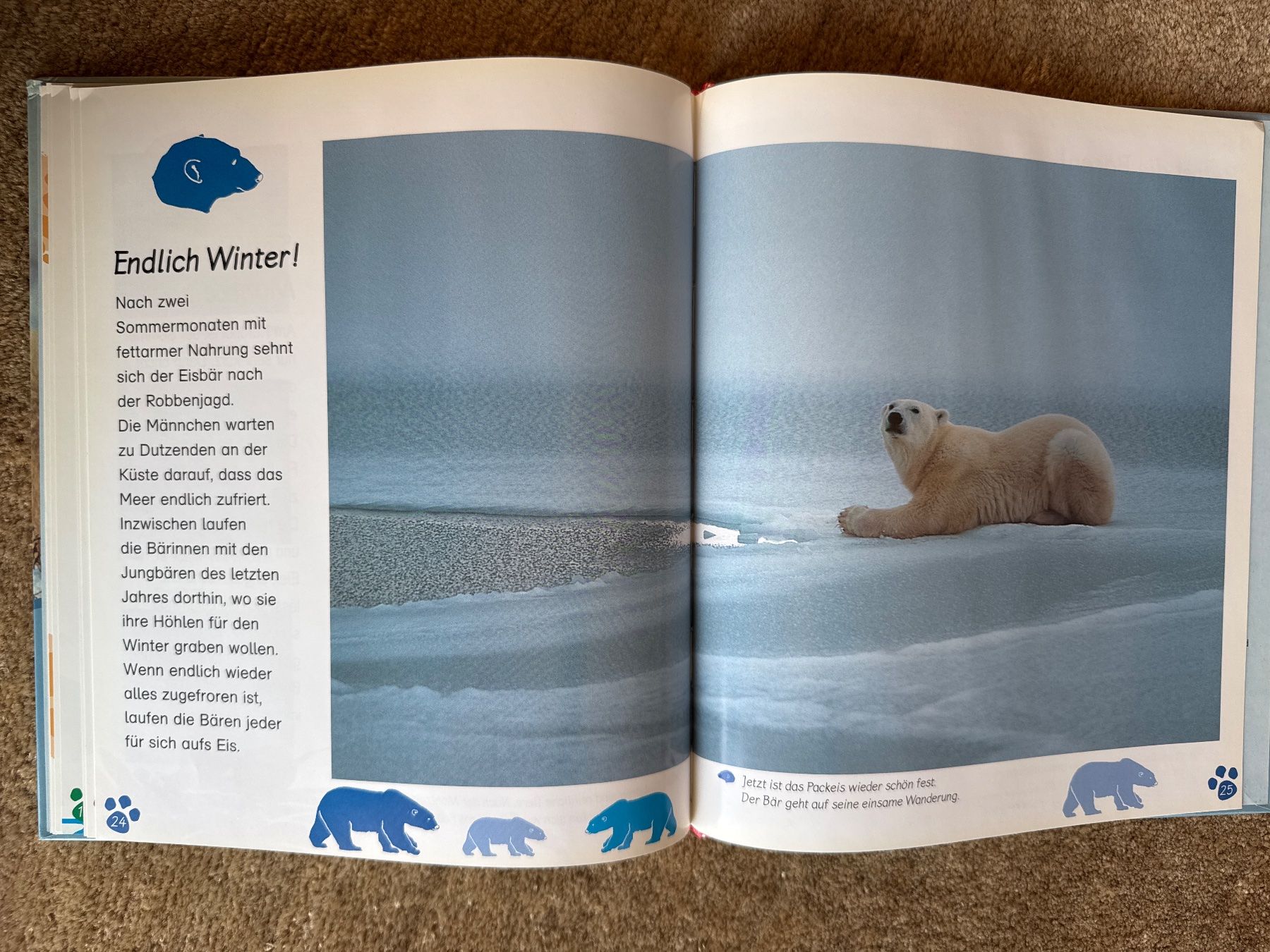 Libri: Der Eisbär - Meine grosse Tierbibliothek - esslinger – Usato da Aarau venduto da Kilauea 5