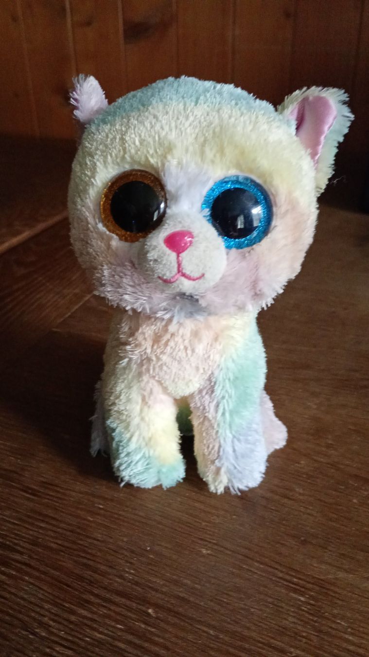 Ty Spielzeuge: Glubschi Katze 15cm – Gebraucht aus melchtal von strickerin