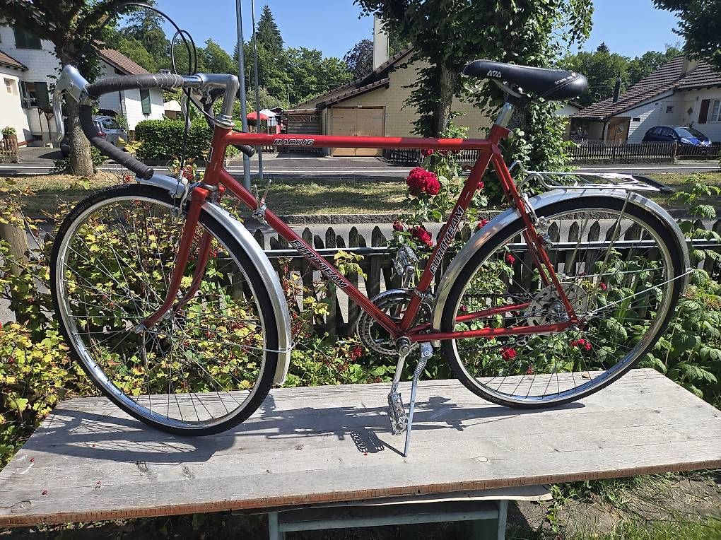 Biciclette: Rennvelo Euroteam Race – Usato da Biel/Bienne venduto da Rouf7