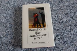 Was machen wir jetzt Liebesroman Doris Dörrie