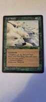 MTG - Pale Bears