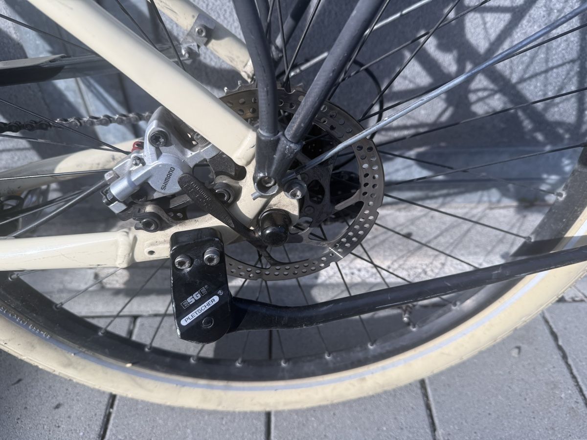 Bosch Biciclette: Damen E-Bike mit Bosch Motor  – Usato da Oberentfelden venduto da speed_71 2