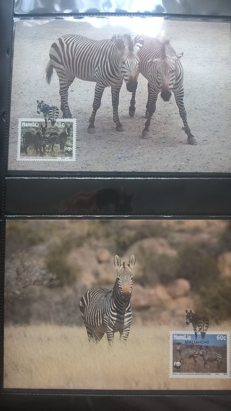 Alle Briefmarken: WWF Namibia 1991 Bergzebra Satz Maximumkarten – Neu (gemäss Beschreibung) aus Liestal von schnueps