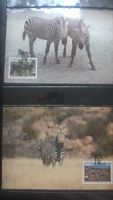 WWF Namibia 1991 Bergzebra Satz Maximumkarten