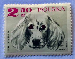 Briefmarken aus Polen Hunde UNGESTEMPELT Siehe Original Foto