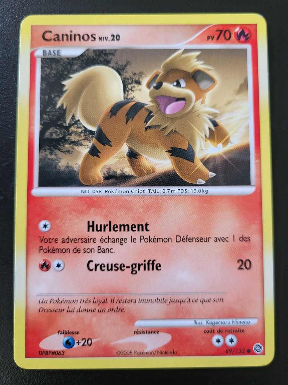 Pokémon Sammelbilder & Trading cards: Caninos Merveilles secrètes FR – Neu (gemäss Beschreibung) aus St-Sulpice VD von cel_ysf7