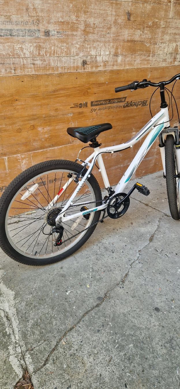 Biciclette: Velo Bafana – Usato da Romanshorn venduto da fag_gnd6