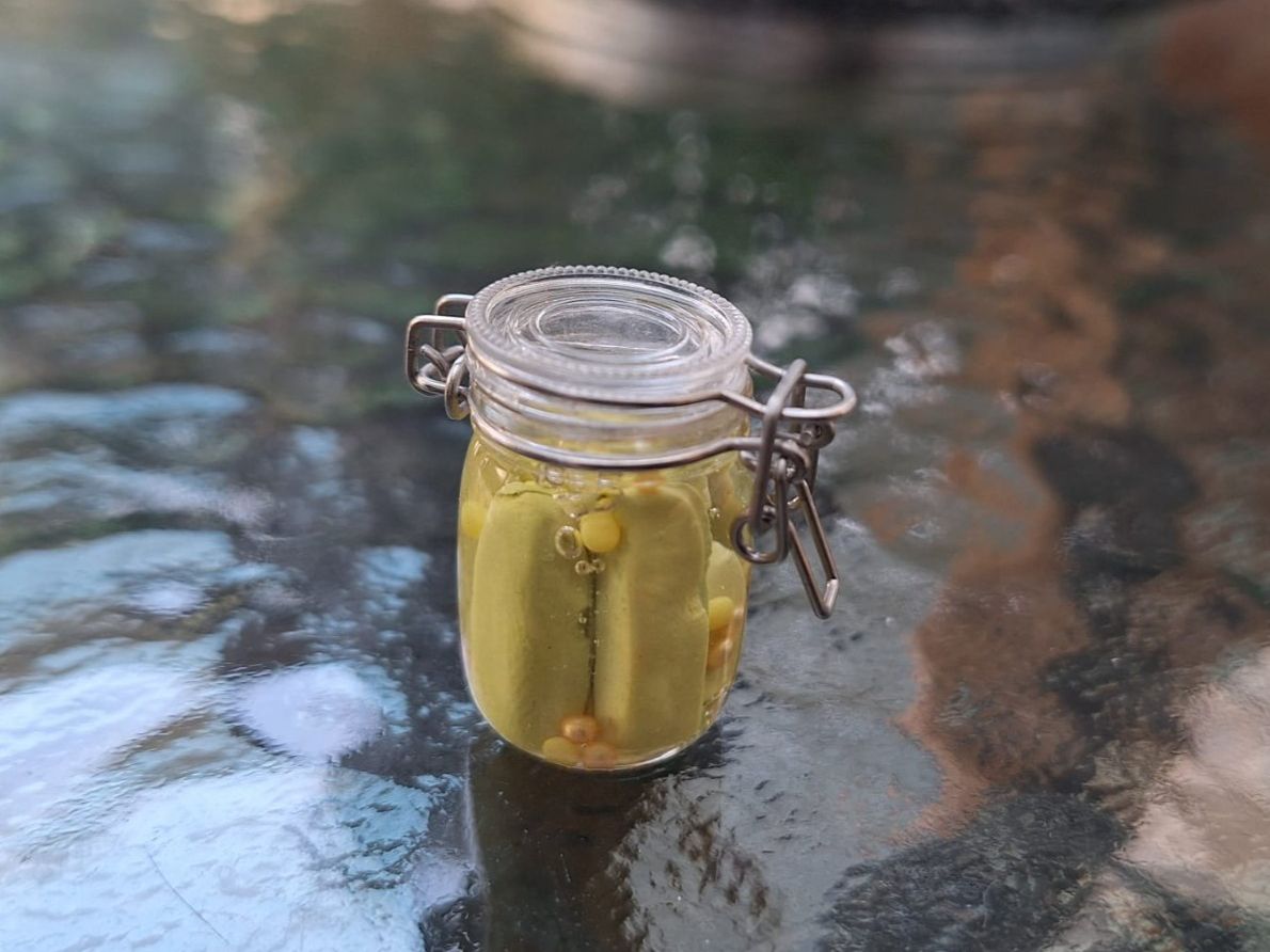 Case e mobili per bambole: Handmade Einmachglas Essiggurken – Nuovo (secondo la descrizione) da Zürich venduto da HandmadeTinyFood 1