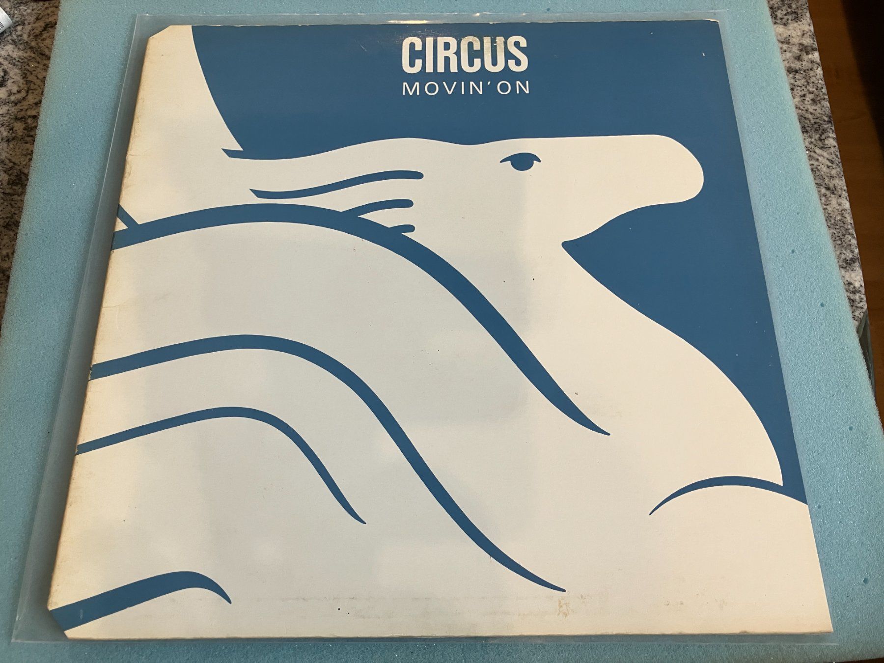 Dischi in vinile: Circus – Usato da Aarwangen venduto da Jukebox3