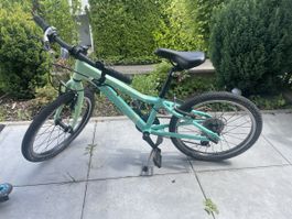 Crosswave Kindervelo, 20 Zoll, Top Zustand für den Sommer!