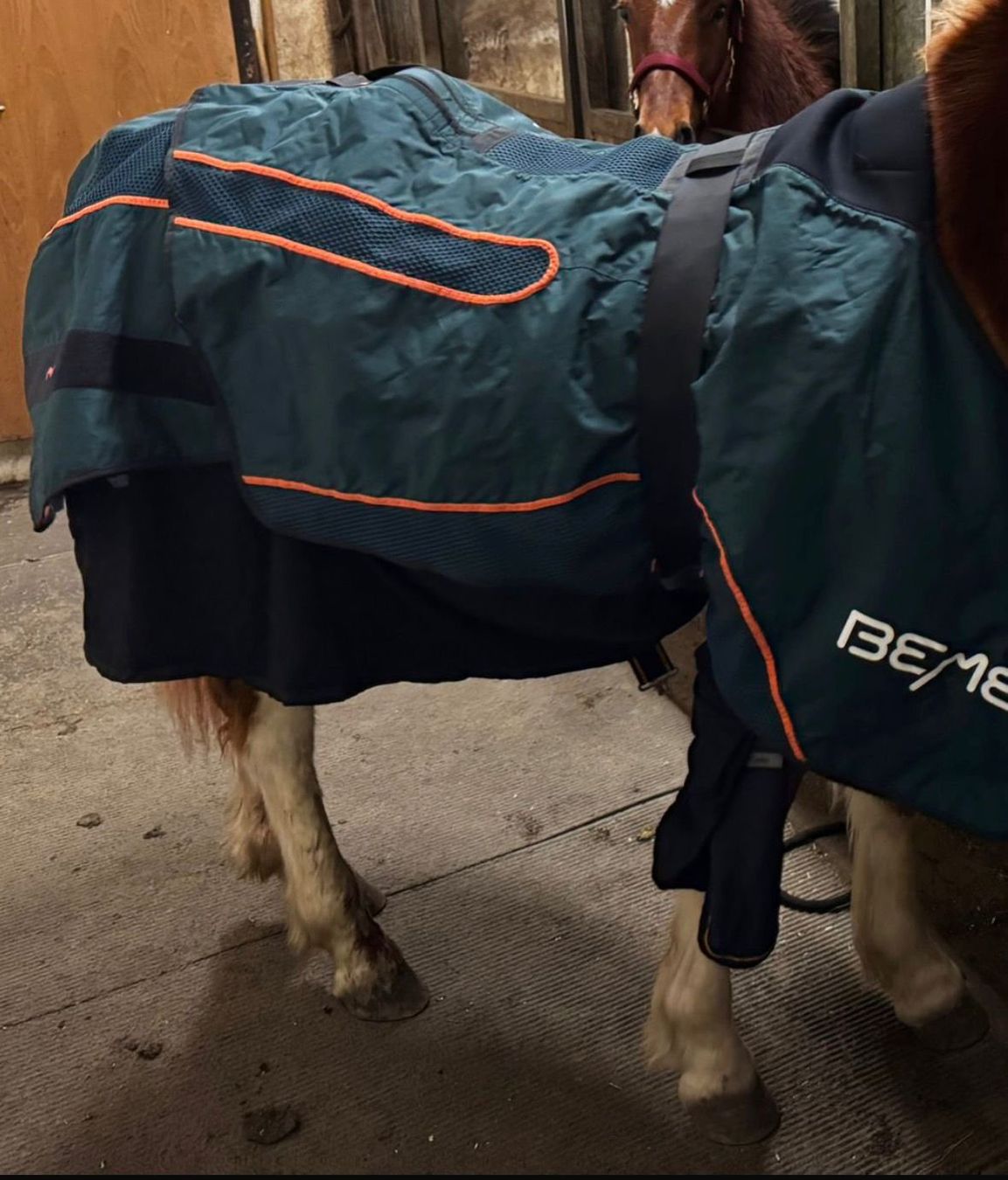 Coperte: Bemer Horse Decke – Usato da Brig venduto da Goodnightwoman