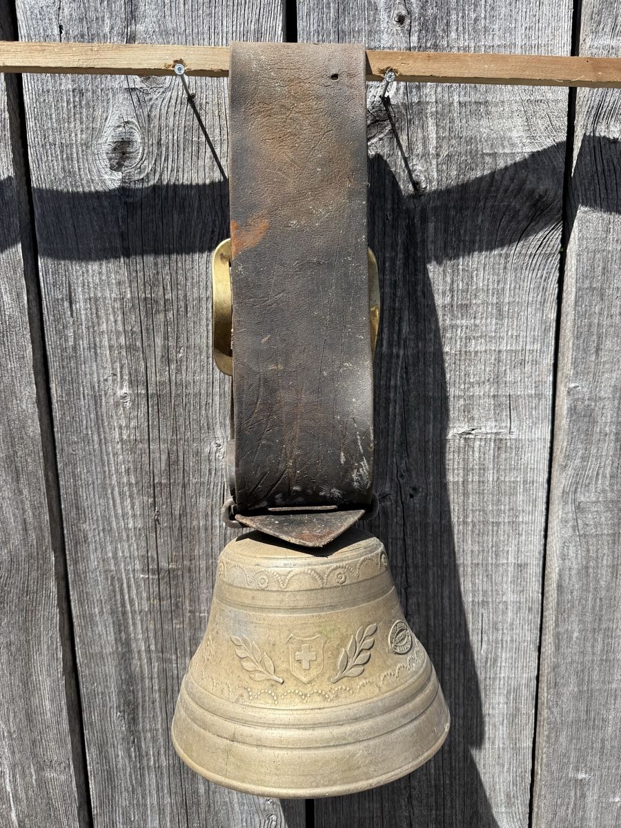 Campanacci mucche: Schöne Glocke, Peter Berger Bärau – Usato da Sargans venduto da foxtrading 1