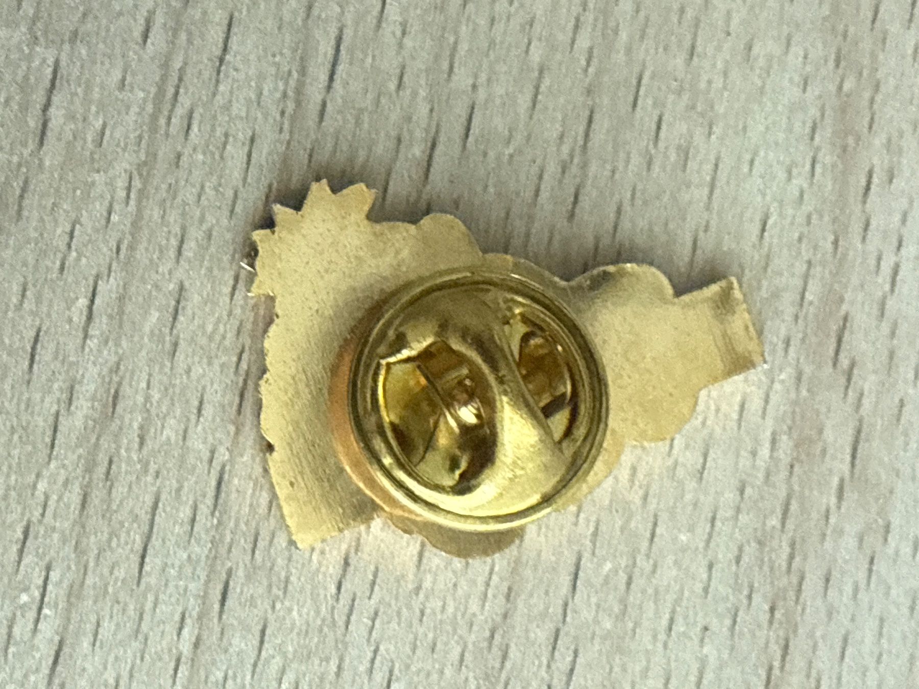 Placchette & Badge: Pin Schongi-Land – Usato da Glattbrugg venduto da Schweigmatt 1