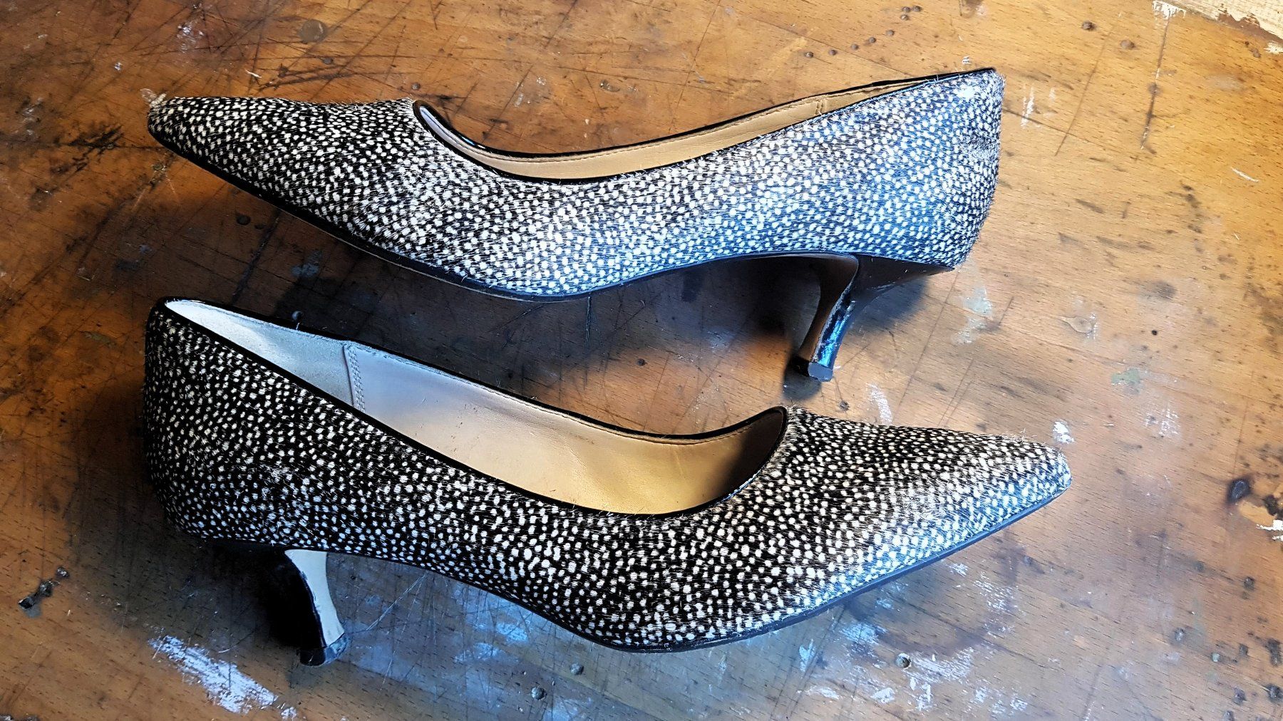 Clarks Scarpe da donna: CLARKS Narrative - Pumps Gr. 41 - 42 – Usato da Zezikon venduto da Upsetter 1
