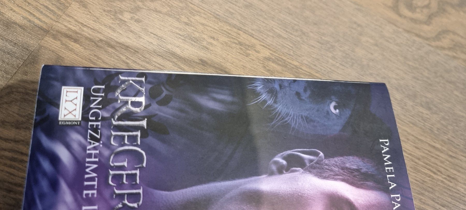 Bücher: Krieger des Lichts - Pamela Palmer – Gebraucht aus Hinterforst von impatiently 4
