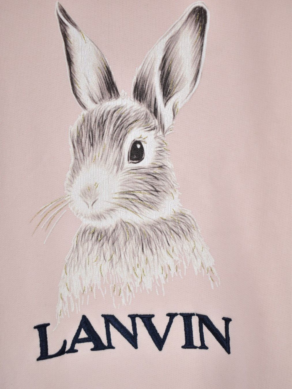 Lanvin Maglioni & Felpe: Lanvin Pullover, Gr.164 (14Y), rosa – Usato da Nürensdorf venduto da 2ND_STORY 2