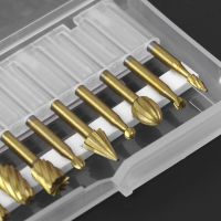 10stk. Bohrer Bits Gravur Cutter Schleifen Polieren Kopf