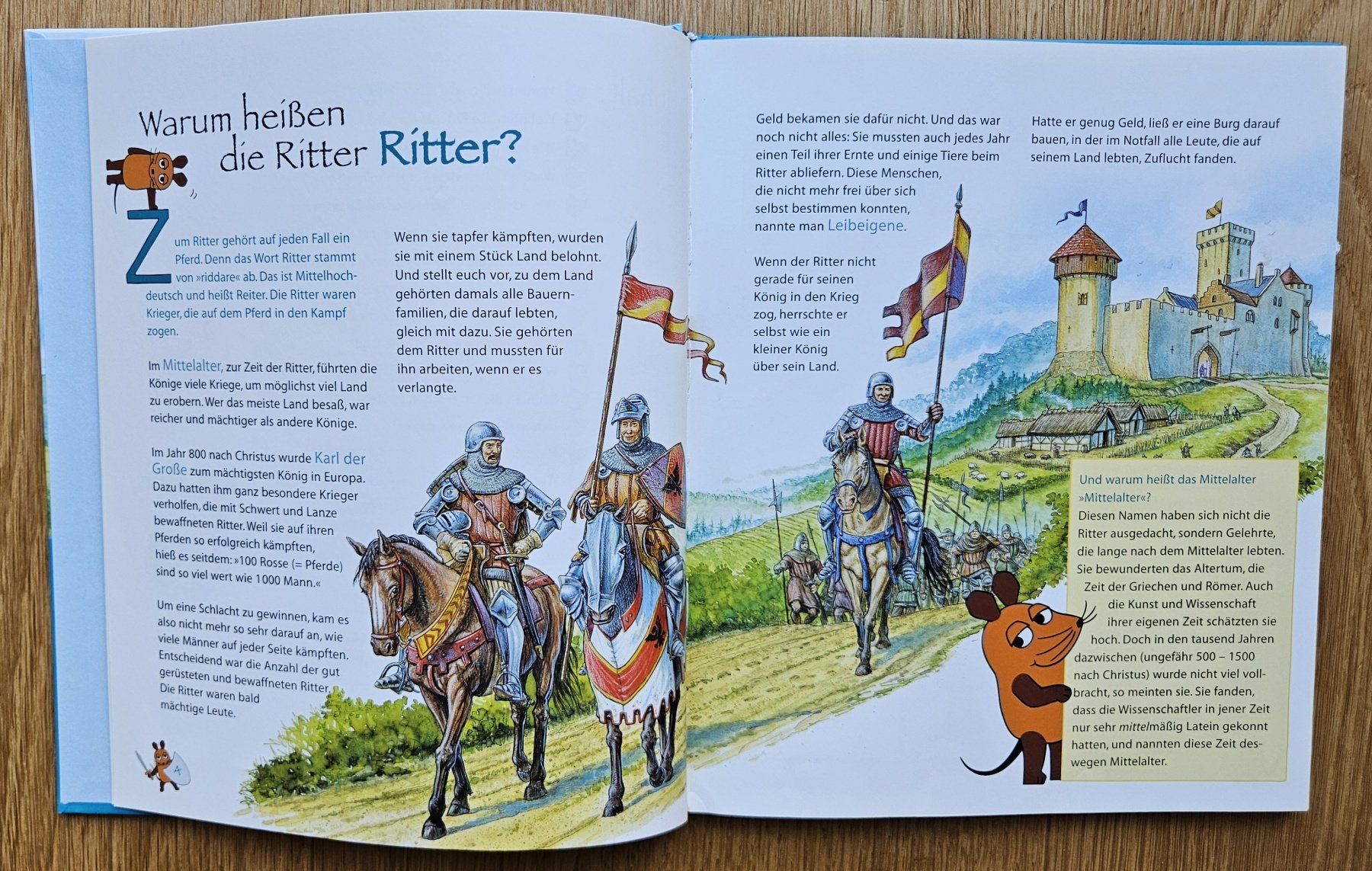 Libri: Ritter und Burgen – Usato da Schaffhausen venduto da asyouwestley 2
