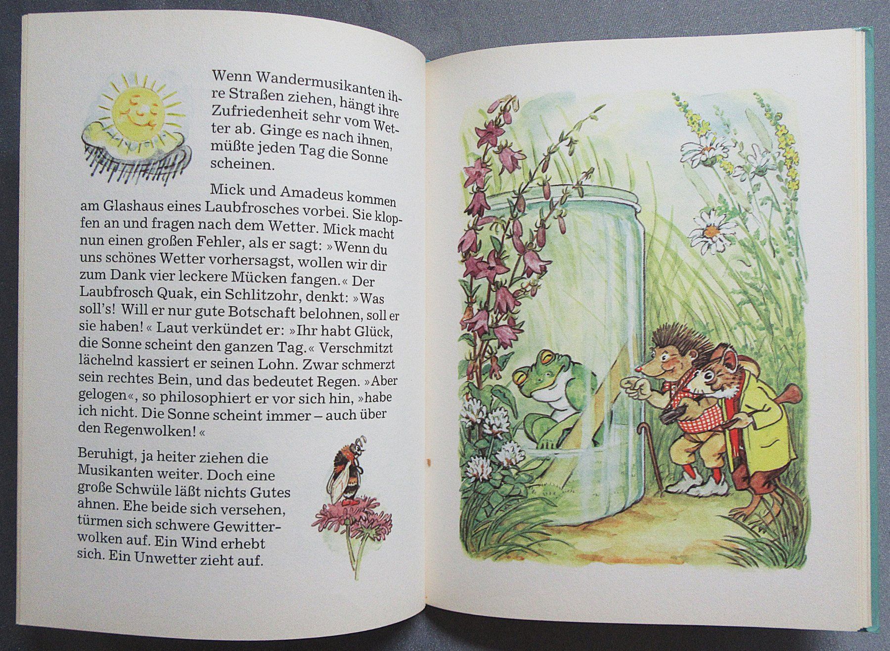 Libri: Amadeus Knabberzahn - Die Abenteuer des Mäusevaters – Usato da Auenstein venduto da Padabimbim 4