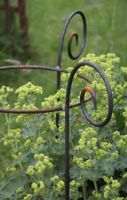 Staudenhalter, Staudenstütze, Blumenhalter, Blumenstütze