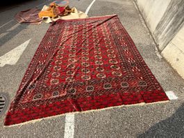 Turkmen Main Carpet 332x253cm Teppich geknüpft sauber