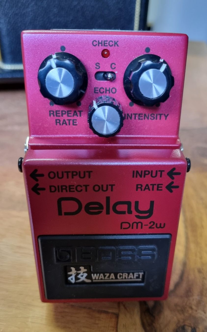 Boss Strumenti musicali: Boss Delay Pedal DM-2w Waza Craft – Usato da Zürich venduto da Hug1971