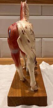Figuren: Wunderschönes, Akkupukturpferd – Gebraucht aus Unterägeri von R_66 1