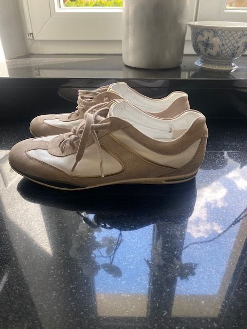 Tod'S Scarpe da donna: TOD S  DAMEN SNEAKERS LEDER GR 41 – Usato da Altendorf venduto da piamaria66 1