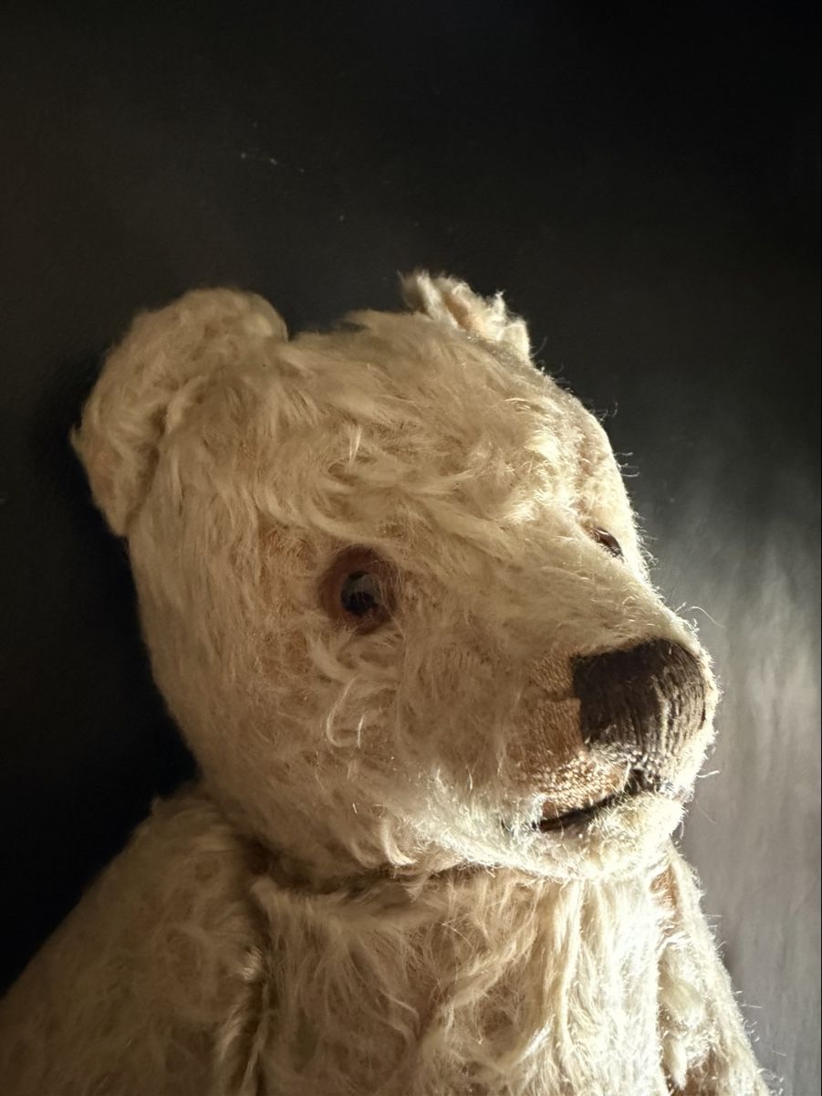 Steiff Spielzeuge: Älterer Steiff Teddy – Gebraucht aus Hochfelden von larson27 3