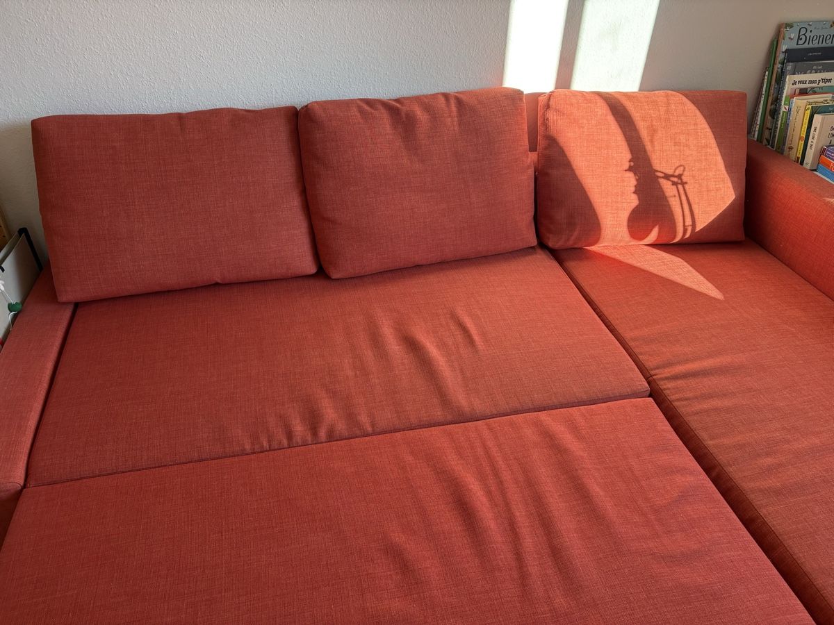 Divani: IKEA FRIHETEN Bettsofa – Usato da Zürich venduto da mei_rld5 5