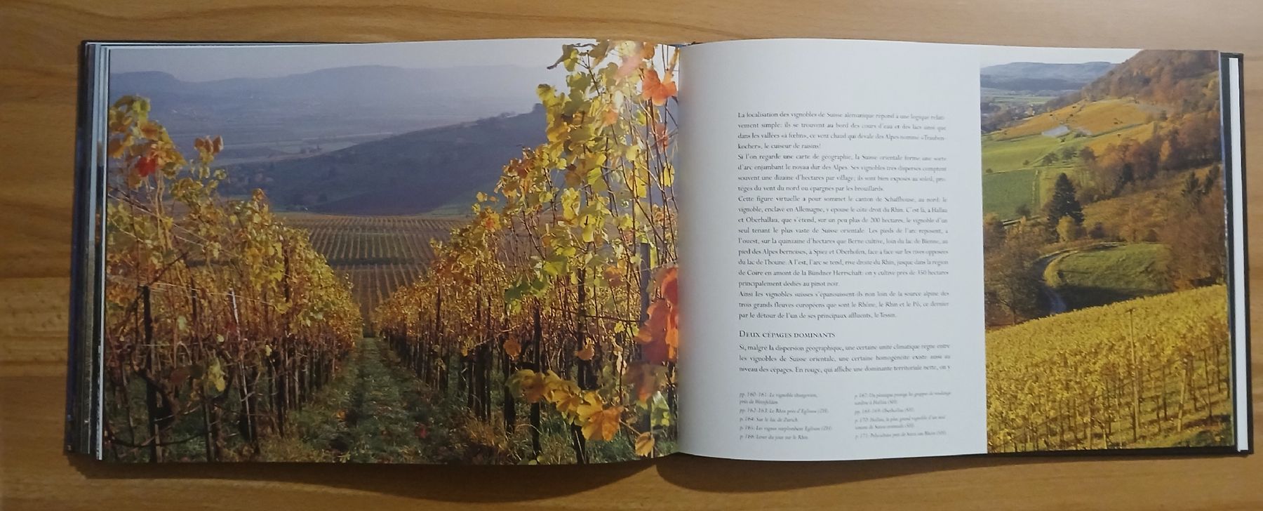 Libri: Vignobles Suisses – Usato da Le Sentier venduto da arc_2thy 7