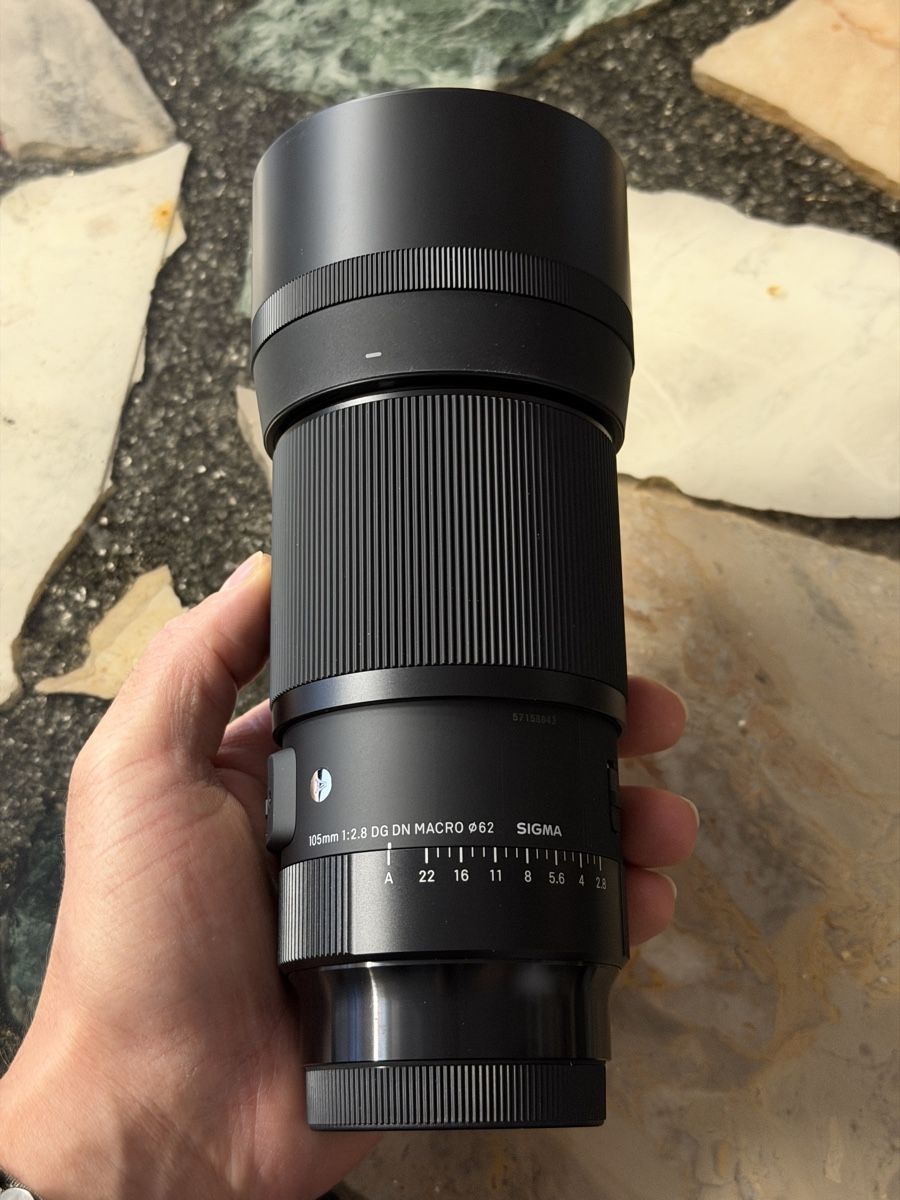 Sony Obiettivi: Sigma 105mm f/2.8 DG DN Macro Art, Sony E – Usato da Wetzikon ZH venduto da MKVII7