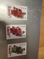 Match Attax FC Liverpool sammelkarten