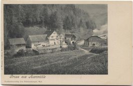Landwirtschaft/Mühle Auenmühle bei Oberwangen TG 1900